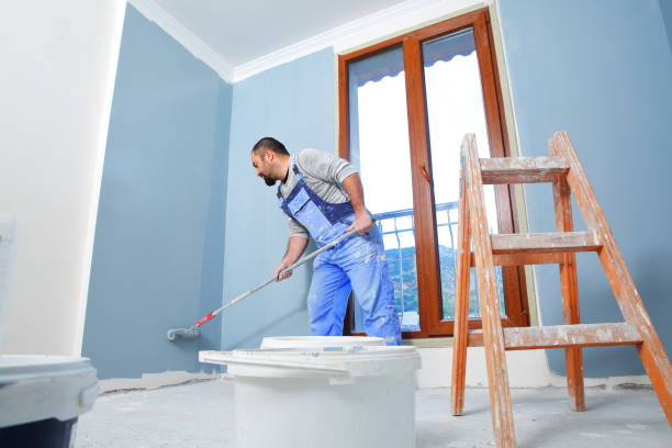 Best Forensic Mold Investigation  in St Paul Park, MN