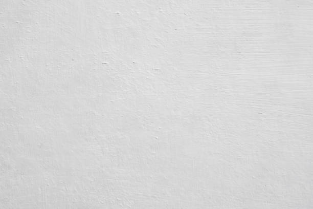 St Paul Park, MN Mold Removal Company