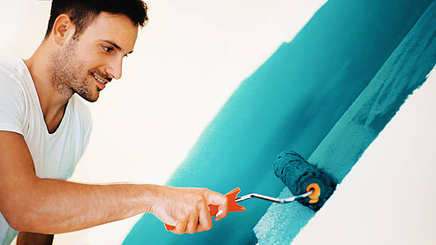 Best Residential Mold Inspection & Testing  in St Paul Park, MN