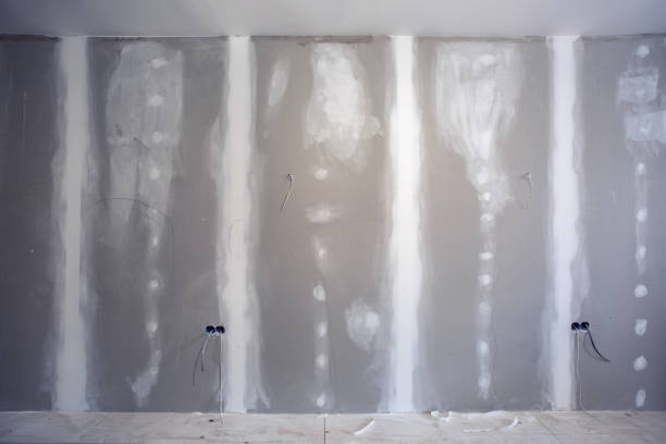 Best Basement Mold Removal  in St Paul Park, MN
